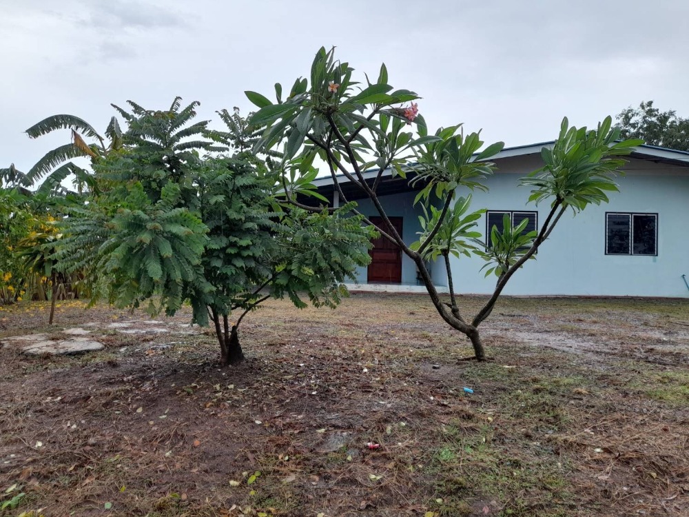 For SaleLandSuphan Buri : Agricultural land for sale with 1 house, Song Phi Nong District, area of ​​3 rai