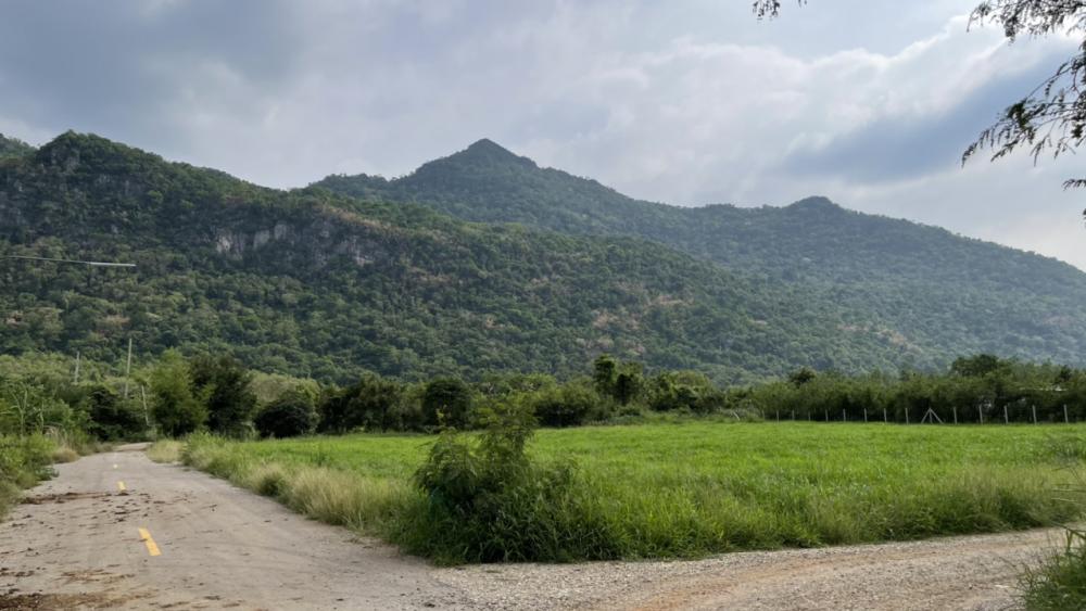 ขายที่ดินปากช่อง เขาใหญ่ : ขายด่วน!เจ้าของขายเอง ที่ดินติดวิวเขาสวย 2 ไร่ ปากช่อง ใกล้ถนนมิตรภาพ ด้านหลังใกล้มอเตอร์เวย์