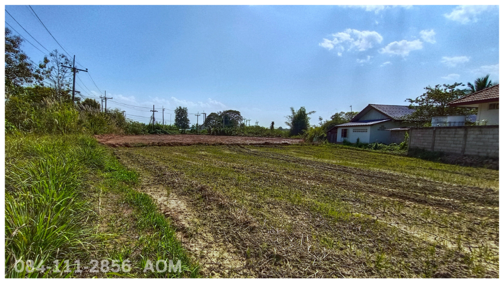 ขายที่ดินเชียงราย : ขายที่ดิน 2 งาน ติดถนน 2 ด้าน ต.เกาะช้าง อ.แม่สาย จ.เชียงราย