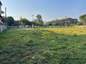 For SaleLandChiang Mai : #Sale of vacant land near Ring Road 2, near Office True, easy to travel into the city surrounded by fences in Chiang Mai