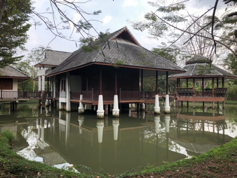 ขายบ้านสมุทรสงคราม : ขายบ้านไม้สักทอง อยู่กลางน้ำ บนที่ดิน 4 ไร่ 3 นอน 2 น้ำ 1 ห้องนั่งเล่น 1 ห้องทำงาน วิวสระน้ำ มีสวนผลไม้ล้อมรอบ ทำเลดี ร่มรื่น