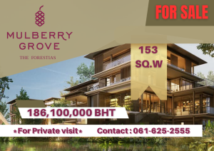 For SaleHouseBangna, Bearing, Lasalle : *Contact For private Visit* Mulberry Grove The Forestias Villa | TYPE S | 061-625-2555