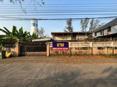 For SaleLandVipawadee, Don Mueang, Lak Si : Cheap sale of land 131 square meters, Village of the Provincial Electricity Authority, Niwet 2, Prachachuen, 14 square plots. suitable for building a house