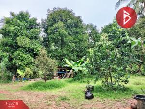 For SaleLandChumphon : Urgent sale of land for sale, area 1 ngan 38 square wah, Na Thung, Chumphon