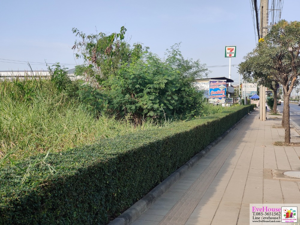 For SaleLandMin Buri, Romklao : Land for sale, next to Chalong Krung Road, size 3 rai 1 ngan, width 58 meters, beautiful, good environment.