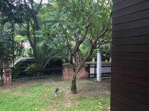For SaleHouseChaengwatana, Muangthong : 🔥 Sale with tenant 🔥 Nichada Thani, 2.5 storey detached house, Nichada Casa, very beautiful house near ISB school