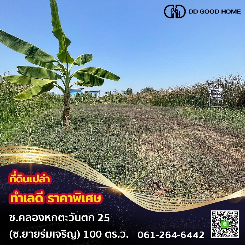 ขายที่ดินปทุมธานี รังสิต ธรรมศาสตร์ : 📢ที่ดินเปล่าขนาด 100 ตารางวา ในซอยคลองหกตะวันตก25 (ซอยยายร่มเจริญ) 📍🔥