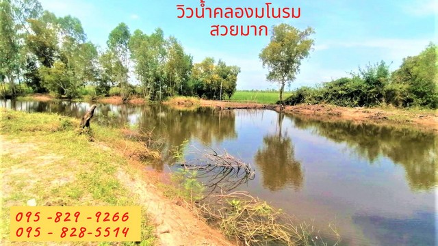 ขายที่ดินนครนายก : ขายที่ดินราคาถูกและสวย 10-0-60 ไร่  ที่ดินติดถนน ทำโคกหนองนา ไร่ละ 450,000 บาท หลังเกษียณ ใกล้คลองมโนรมและกังหันเงิน รีสอร์ท เกาะโพธิ์ อ ปากพลี นครนายก