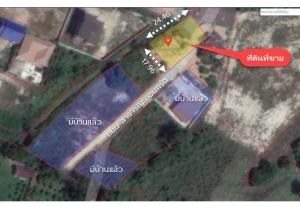 For SaleLandSriracha Laem Chabang Ban Bueng : Land for sale 107 square wa, Ban Chang, Rayong.