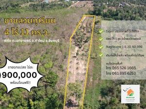 For SaleLandChanthaburi : Selling durian garden, mountain view, 4 rai 11 sq m.