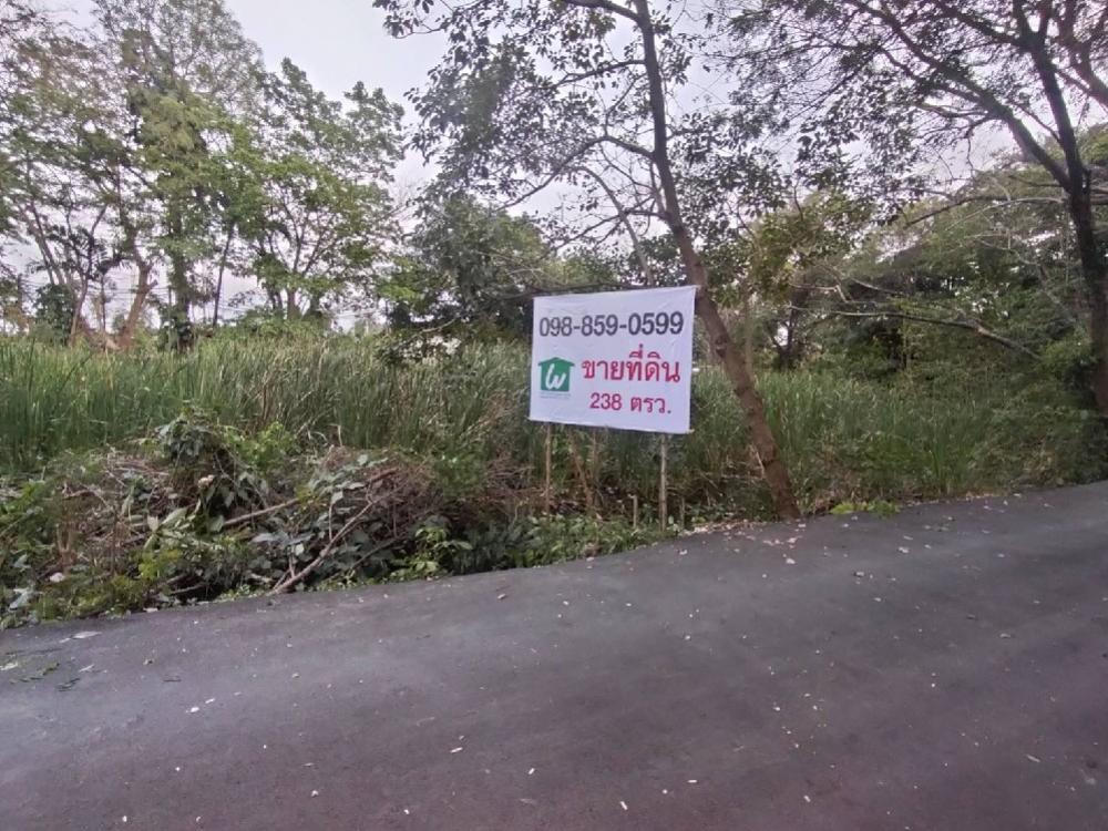 For SaleLandPinklao, Charansanitwong : Land for sale, 238 sq m., Phra Thep Road, Phran Nok - Phutthamonthon Sai 1, Ratchaphruek