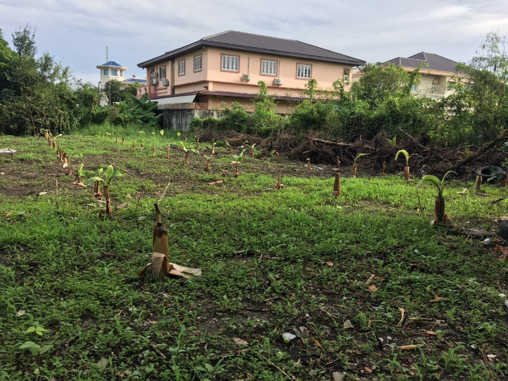 For SaleLandBang kae, Phetkasem : Land for sale, Rueananan Village, Petchkasem 64, 900 meters from the entrance of the alley, near MRT Bang Khae, area 195 square meters, price 10.35 million baht.*