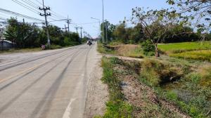For SaleLandPathum Thani,Rangsit, Thammasat : Land for sale 31 rai 248 Square Wah, Rd.3014, Khu Khwang, Lat Lum Kaew, Pathum Thani.