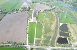For SaleLandLadkrabang, Suwannaphum Airport : BB10 Land for sale, Khumthong, Ladkrabang, near Suvarnabhumi Airport