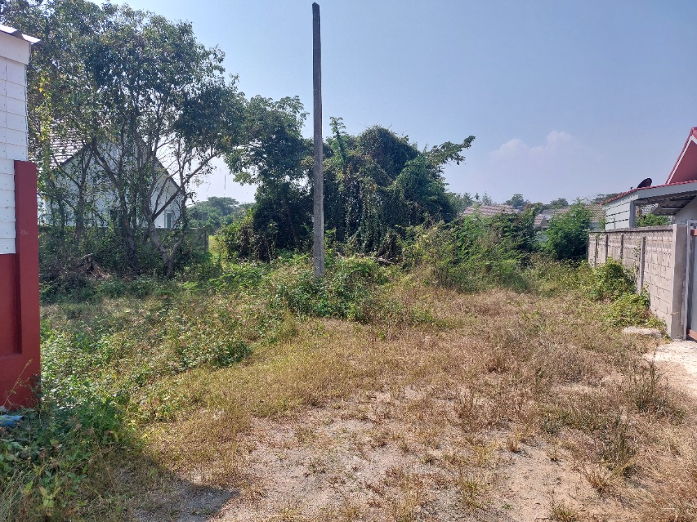 For SaleLandChiang Mai : Land for sale in San Pa Tong, 300 meters from the main road& Hospital