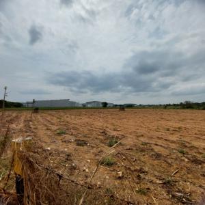 For SaleLandSriracha Laem Chabang Ban Bueng : Urgent sale, Sriracha land, 44-0-24 rai, 100 meters from the Chonburi-Pattaya motorway.