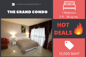 ให้เช่าคอนโดวิทยุ ชิดลม หลังสวน : เช่าด่วน!! ถูกสุดในเว็บ ห้องแต่งสวยมาก The Grand Condo