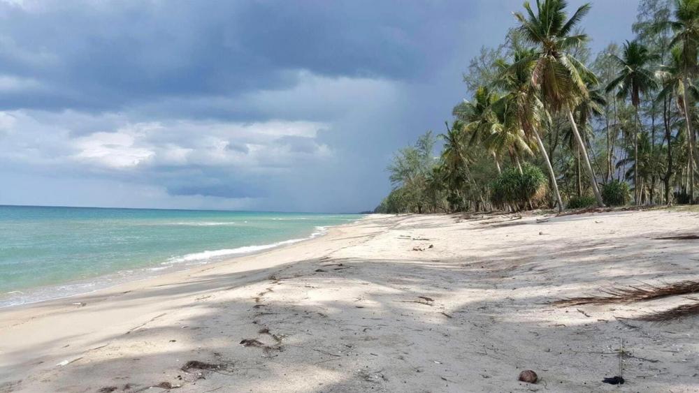 For SaleLandNakhon Si Thammarat : 🔥🔥🔥 Urgent sale, private beach sale like a mother! #Suitable for making a resort 🔥🔥🔥 Private beach, great location, very beautiful 🏝