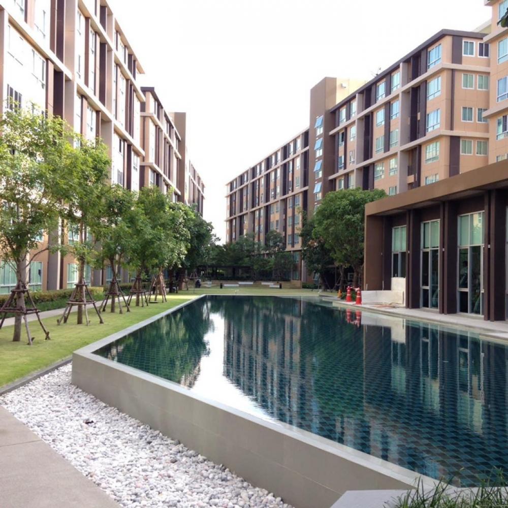For RentCondoPathum Thani,Rangsit, Thammasat : Condo for rent: Dcondo Phase 1, Building D, 8th floor