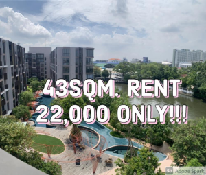 ให้เช่าคอนโดอ่อนนุช อุดมสุข : Kawa Haus For RENT 43sq.m. The Most Beautiful position!!! วิวสระ ตำแหน่งที่สวยที่สุดของโครงการ ห้องสภาพใหม่! ลดราคาเท่าห้องเล็ก!!! 📲Tel/Line: 094-1624424