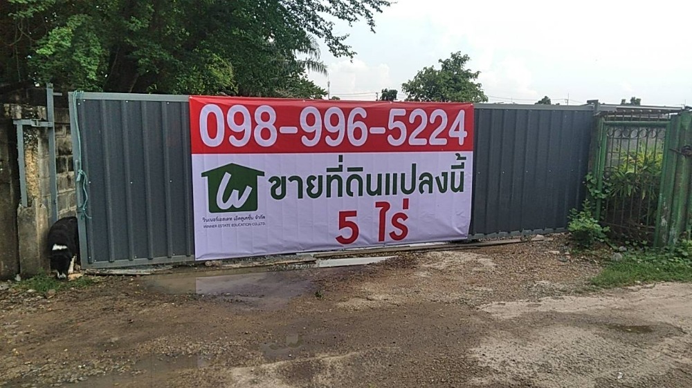 For SaleLandPathum Thani,Rangsit, Thammasat : Land for sale 5 rai Lam Luk Ka Khlong 2