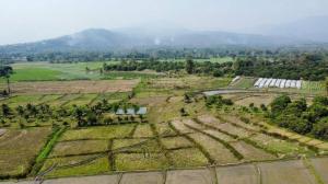 For SaleLandChiang Mai : Land for sale 2 rai 1 ngan 77 square wa. The way up to Doi Inthanon is not flooded, suitable for farming/resorts/homestays.