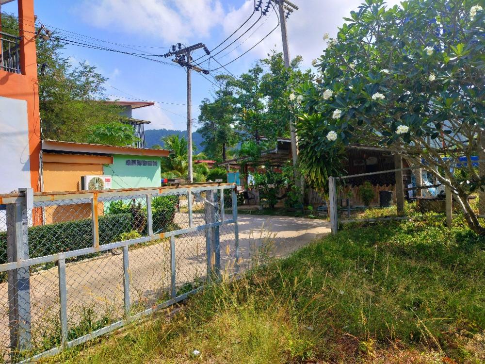 ขายที่ดินกระบี่ : ที่ดินใกล้หาด เกาะลันตา