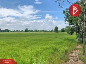 For SaleLandSakon Nakhon : Selling a large plot of land, area 18 rai 32 square wah, Waritchaphum, Sakon Nakhon.