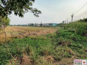 For SaleLandMin Buri, Romklao : Land For Sale, 10.5 Rai, On Ruam Phatthana Rd, Nong Chok, 2.5 Mil/Rai