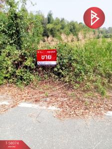 For SaleLandUthai Thani : Land for sale, area 8 rai 89 square wah, Noen Chaeng Subdistrict, Uthai Thani Province
