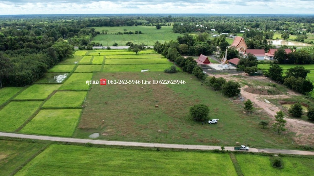For SaleLandSurin : Sale of land Surin Province, Nam Fai Access, contact Khun A 062-2625946