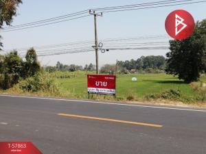 For SaleLandPhitsanulok : Urgent sale of land, area 38 rai 2 ngan 60.0 square wah, Bang Rakam District, Phitsanulok, good location