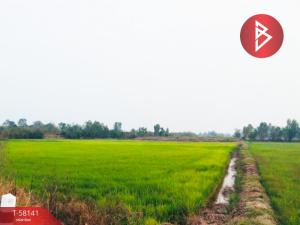 For SaleLandPhitsanulok : Land for sale, area 27 rai 5 square wah, Wang Thong, Phitsanulok, next to Phai Si Suk Canal.