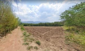 For SaleLandPak Chong KhaoYai : Land for sale 5-2-40 rai, Pak Chong, Khao Yai, good location, near tourist attraction Toscana, about 1 km.