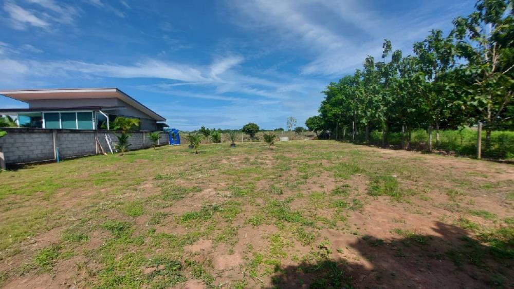 For SaleLandPattaya, Bangsaen, Chonburi : land for sale in Huay Yai, Pattaya, 1-0-5 Rai.