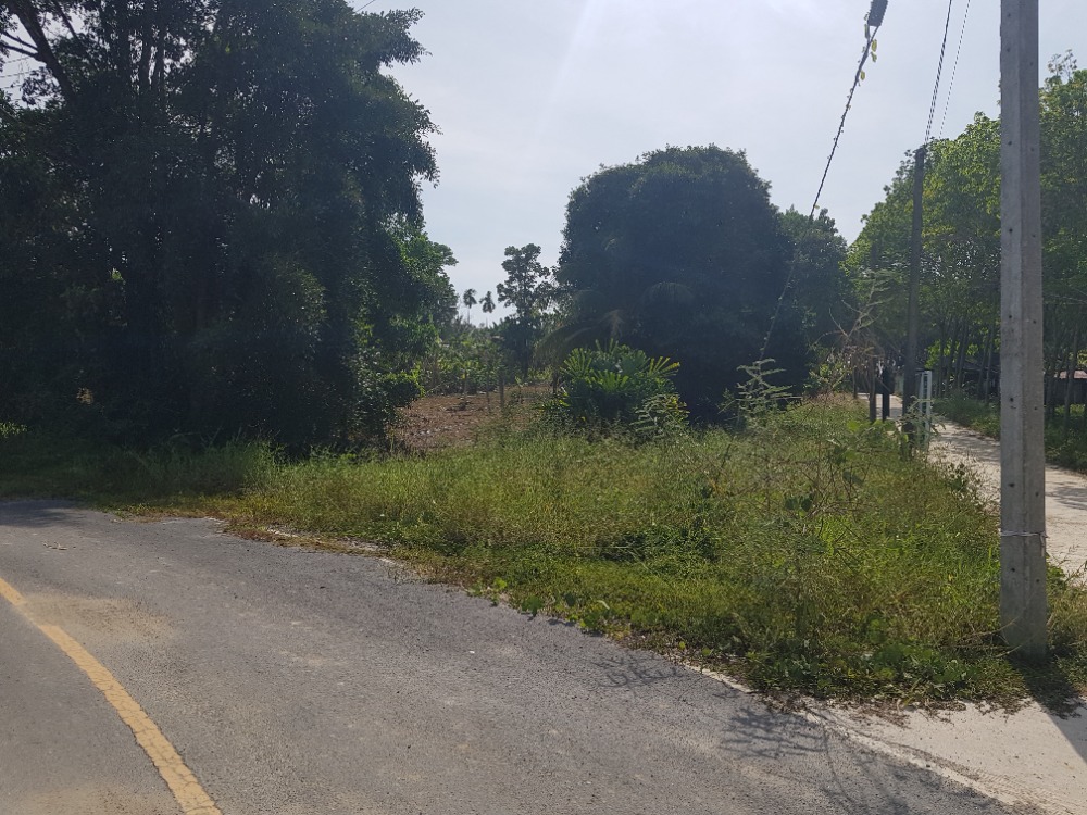 For SaleLandPhangnga : Land for sale in Khok Kloi