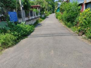 ขายที่ดินเชียงใหม่ : ขายที่ดินเชียงใหม่ 2 ไร่ เจ้าของขายเอง