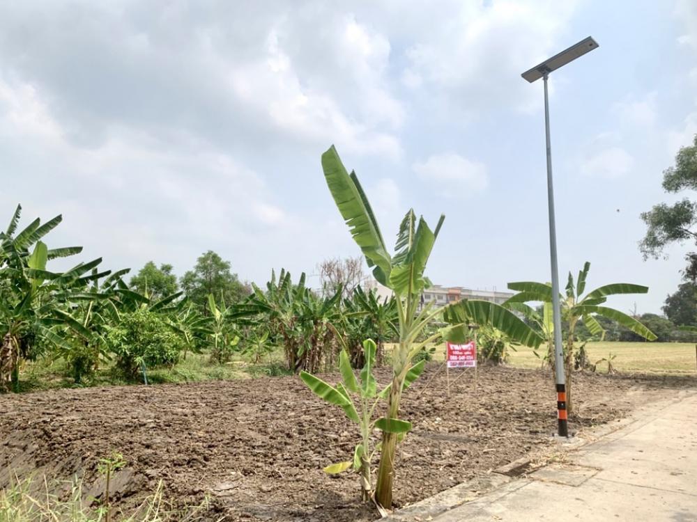 For SaleLandPathum Thani,Rangsit, Thammasat : Land 100 square meters, Soi Wat Phrai Fah, Pathum Thani