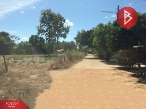 For SaleLandKalasin : Land for sale, area 3 rai 2 ngan 12 square wah, Bua Khao Subdistrict, Kuchinarai District, Kalasin Province