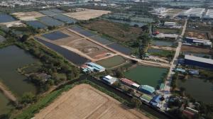 ขายที่ดินสมุทรปราการ สำโรง : ขายที่ดิน 28.5 ไร่  อ.เมือง ติด อ.บางพลี สมุทรปราการ สวยมาก ( เนื้อที่จริง 28.59 ไร่ ) อนาคตดี  มีโอกาส ติดถนนแพรกษาส่วนต่อขยายที่จะเกิดขึ้นในอนาคต