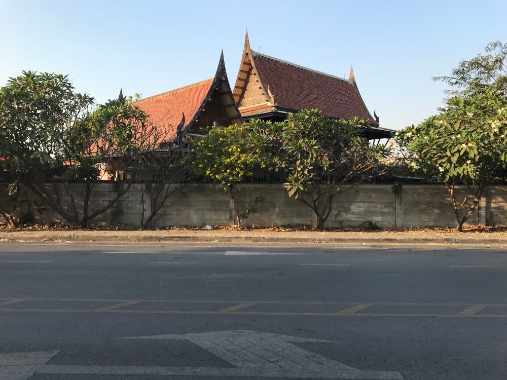 ขายที่ดินอยุธยา : ที่ดินผืนใหญ่ ใจกลางเกาะเมืองอยุธยา