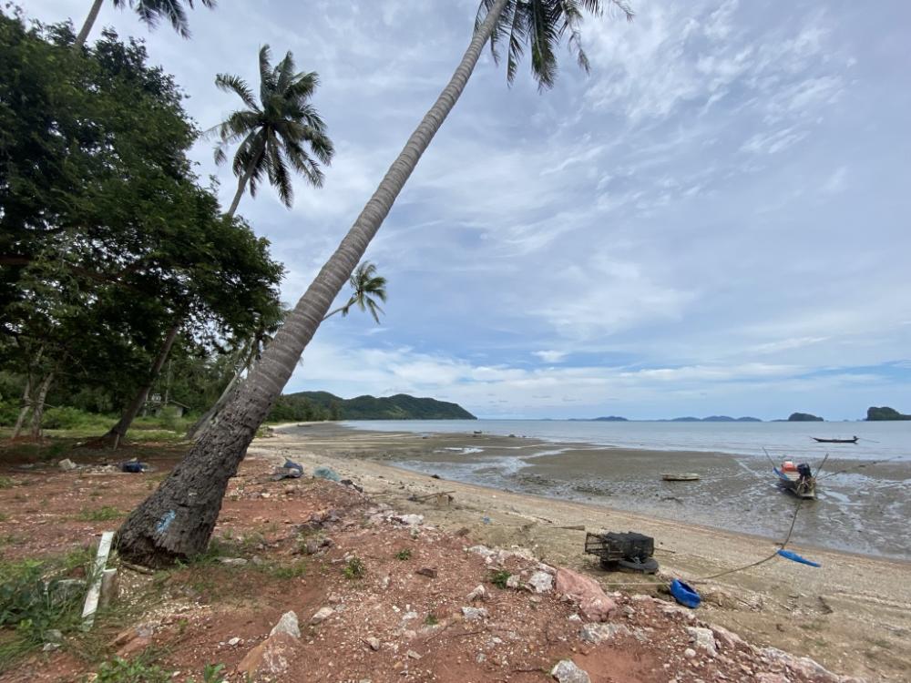 For SaleLandChumphon : Land for sale by the sea At Ban Thong Tanot, Sawi District, Chumphon Province, 60.8 sq m., Plot No. 7, only 2 million, opposite Koh Kula 🌴 in front of the sea, behind the road 🛣️ interested in seeing more photos [Owner]📲Line id: kornkamolnwz