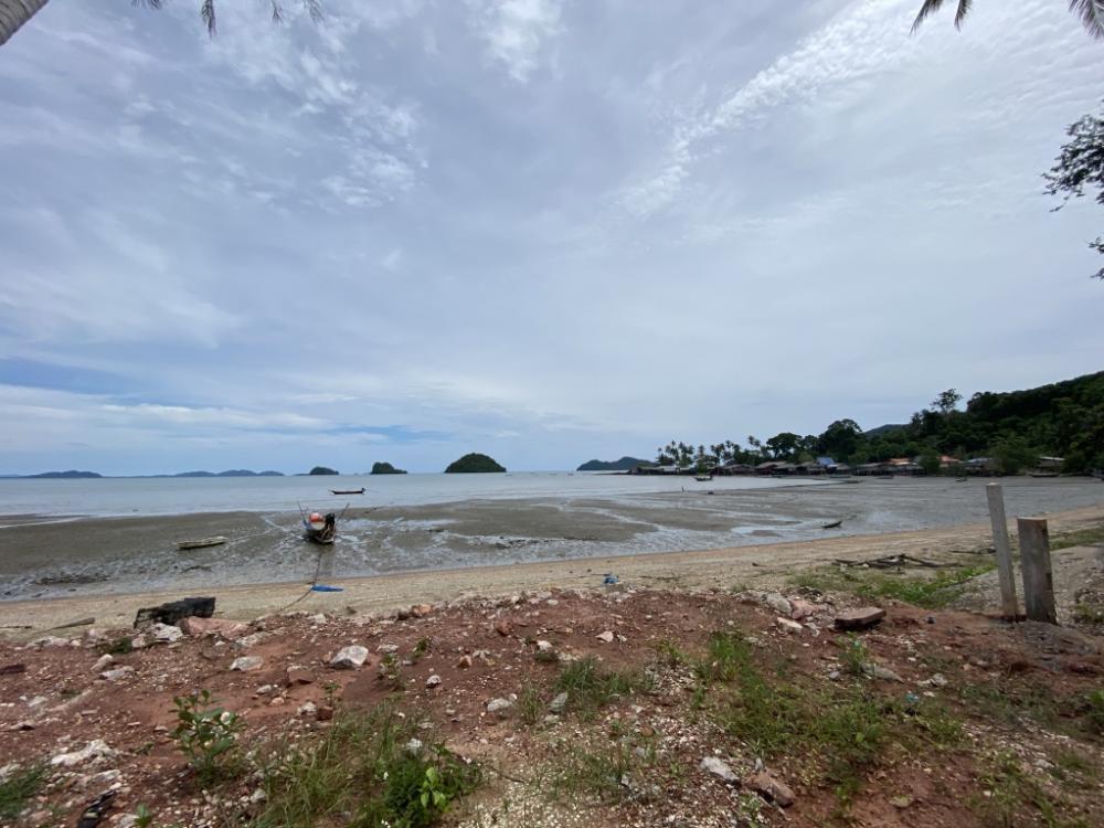 ขายที่ดินชุมพร : ขายที่ดินติดทะเล อยู่ที่บ้านทองโตนด อำเภอสวี จังหวัดชุมพร 60.8 ตรว. แปลงที่ 7 💸เพียง 2 ล้าน ตรงข้ามเกาะกุลา🌴🌊หน้าติดทะเล, หลังติดถนน🛣️สนใจดูรูปเพิ่มเติม [Owner]📲Line id : kornkamolnwz