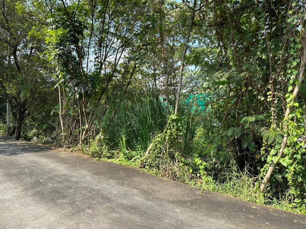 For SaleLandPinklao, Charansanitwong : Land for sale, 288 sq m., Taling Chan, Phra Thep Road, Phran Nok - Phutthamonthon Sai 1