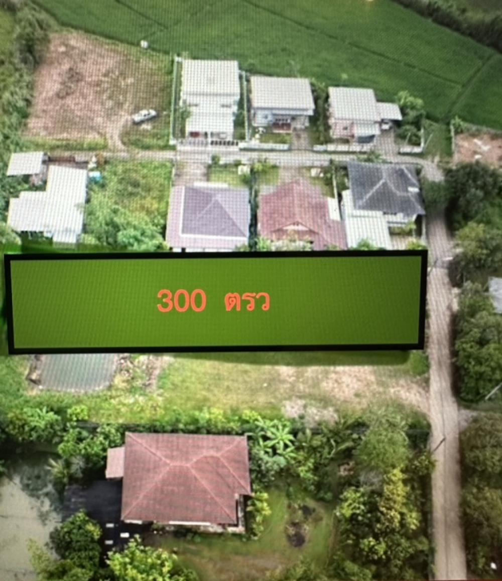 For SaleLandChiang Rai : Beautiful land for sale BY OWNER, mountain views, near bypass, residential area, 300 squareWah (12,000 Sqm2) 11,000 baht per wah.