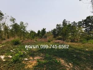 For SaleLandTrat : 地段好，价格便宜  Land for sale in a good location, cheap price, located in Bo Phloi municipality, Bo Rai district, Trat province, amounting to 17 - 1 - 92 rai, selling as a whole plot, price 7 million baht only