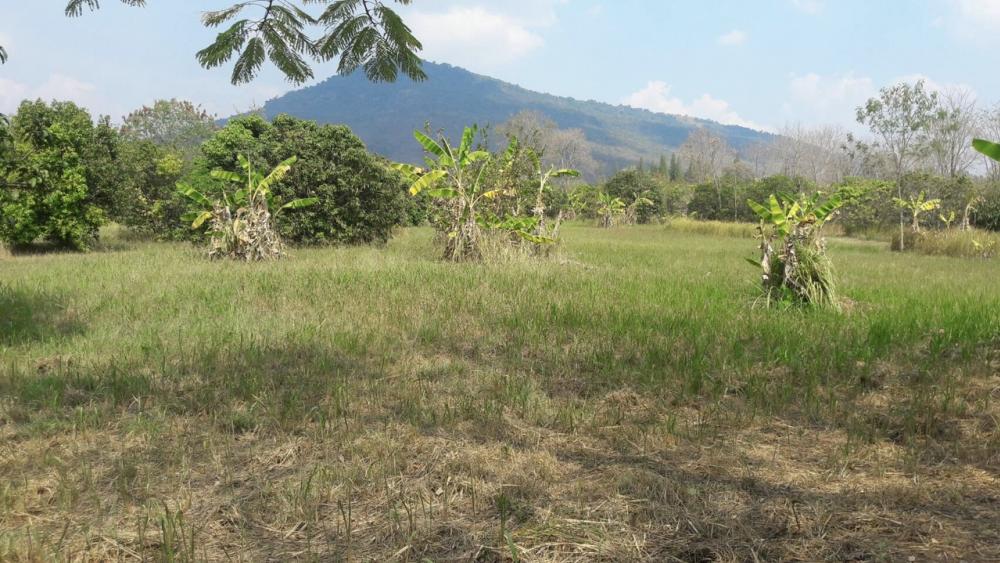 For SaleLandPak Chong KhaoYai : Land for sale in Khao Yai, Wang Sai, 52 rai, near Phu Phra Bat, Wang Sai Hill, Lapin Hill Pool Villa.