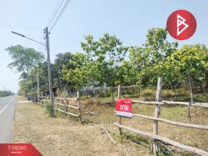 For SaleLandSurin : Land for sale, area 7 rai 69.2 square wah, Sangkha District, Surin