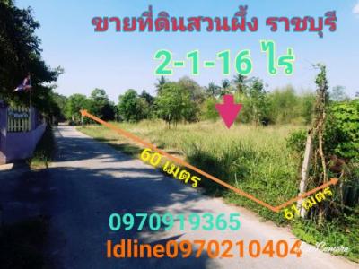 For SaleLandRatchaburi : Land for sale near Suan Phueng Hospital, 2 rai 1 ngan 16 square meters, Ratchaburi province.