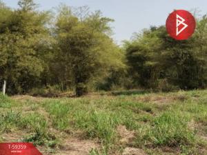 For SaleLandKamphaeng Phet : Land for sale, area 6 rai 3 ngan 55.0 square wah, Phran Kratai District, Kamphaeng Phet